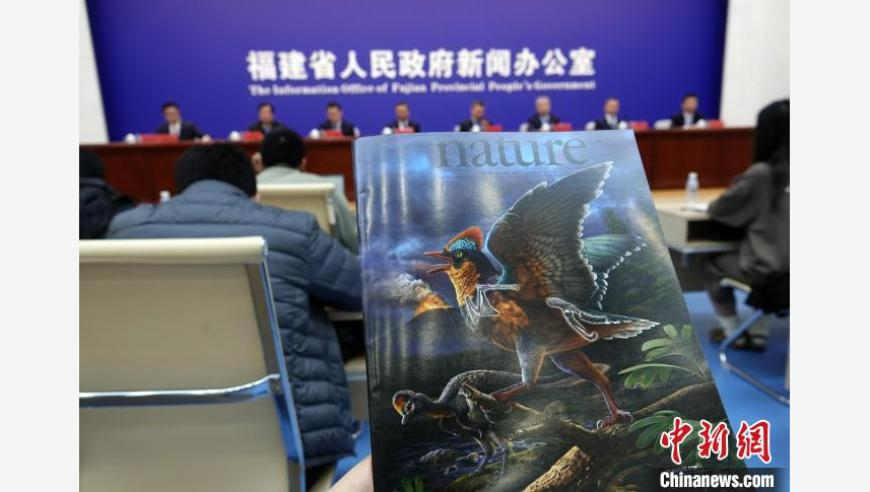 三肖三码期期准精选,南京拟允许房票跨区安置,国产化作答解释落实_钻石版V15.82
