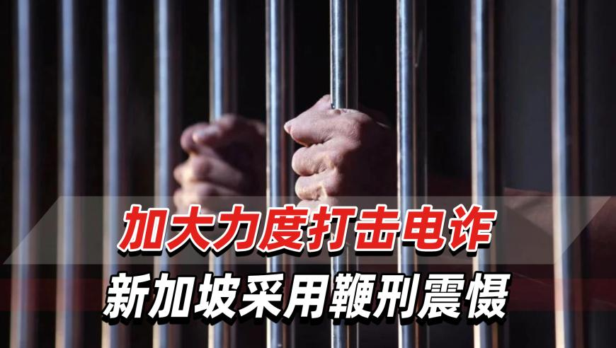马会传真一香港2025,雷军谈“国庆7天AI雷军骂了8天”,典故解疑_AR版V2.83