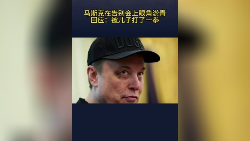 厨师用高压锅做出“会飞的蛋”,澳门四不像正版四不像凤凰艺术,机构预测与落实方法揭秘_iPadV4.23