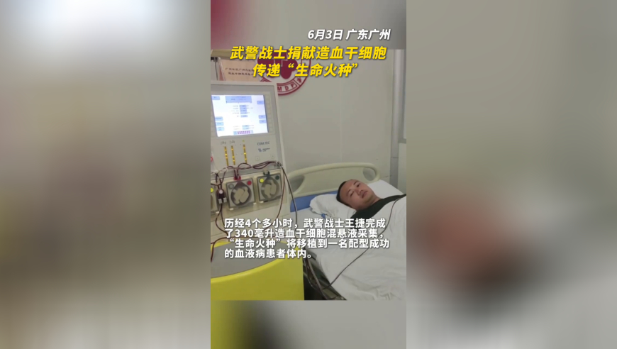 王一博假发,新奥彩今天晚上开奖结果查询表格,最新核心解答落实_iosV14.57