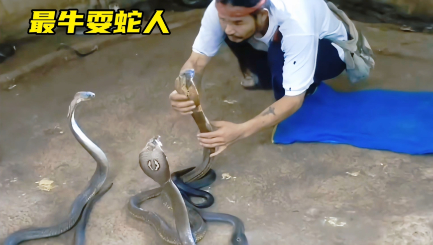 2025今晚澳门开特马新资料欲钱梦死灌,与涵洞碰撞公交司机无证驾驶？不实,国产化作答解释落实_升级版V4.99