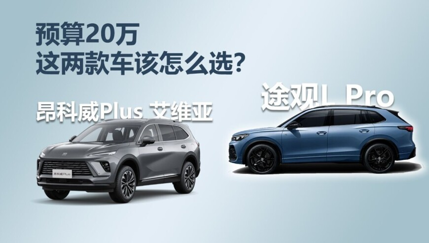 澳门开马开奖2025年结果查询,王楚钦亚洲杯两连胜,全面解答解释落实_粉丝版V9.100